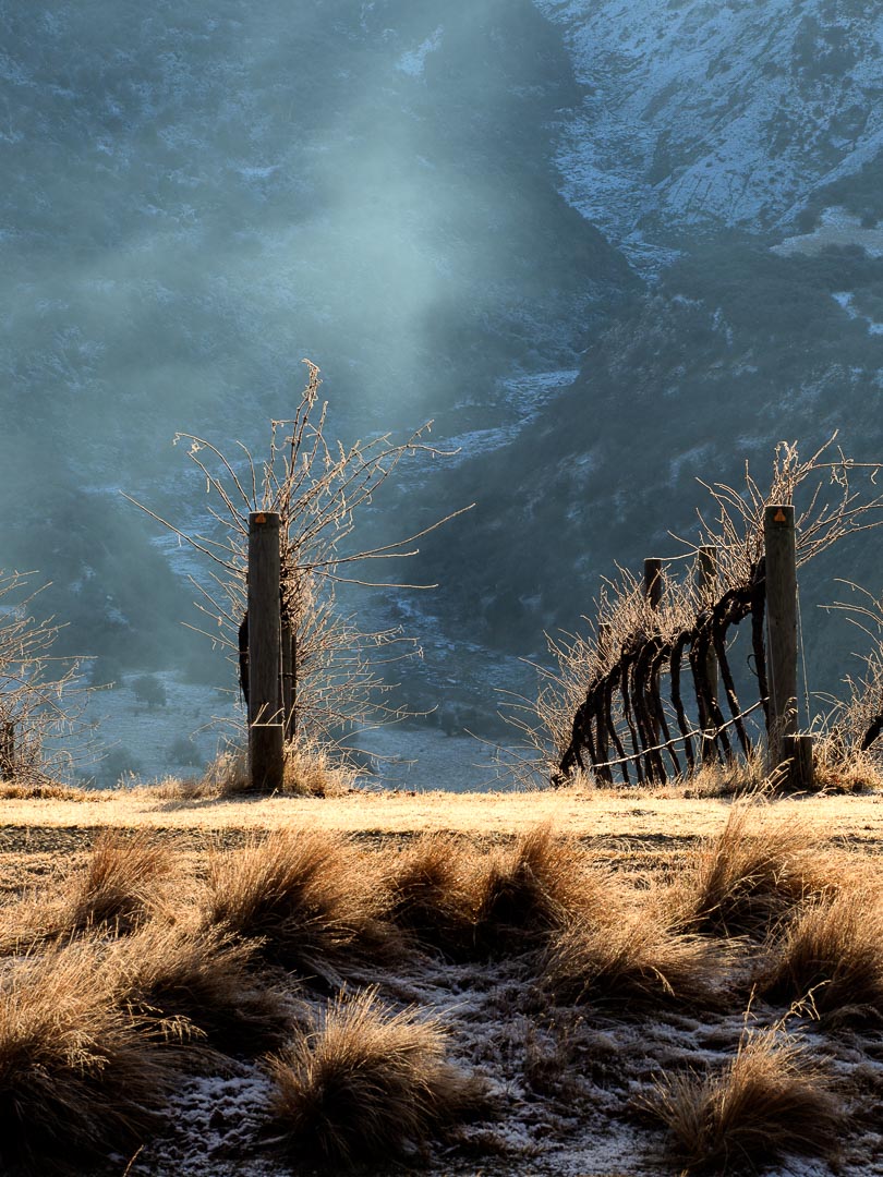 Winter in Gibbston Valley